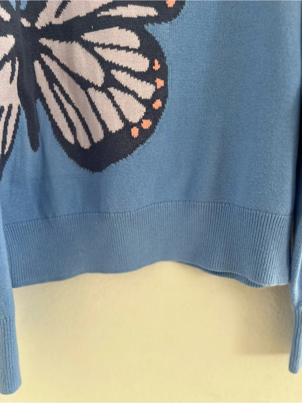 GAP Light Blue Butterfly Crewneck Sweater with Pink Accents